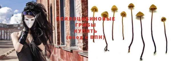 первитин Козловка