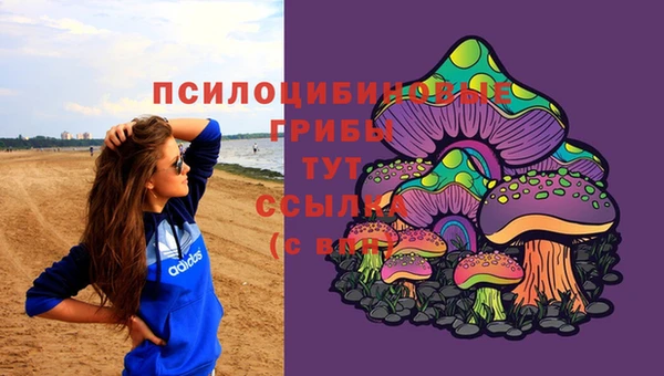 первитин Козловка