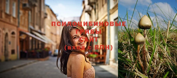 spice Киреевск