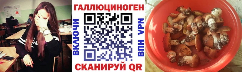 цены наркотик  Красноперекопск  Псилоцибиновые грибы мухоморы 